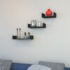 Set polite Lilium, Negru