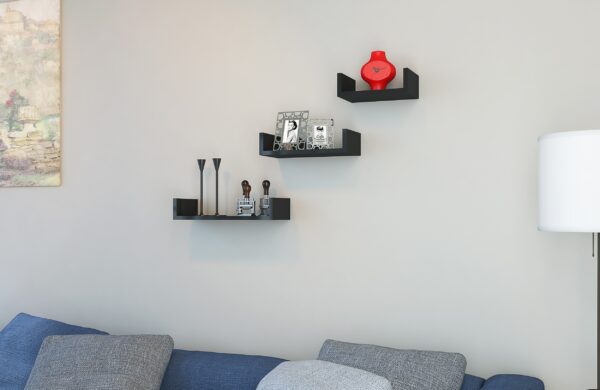 Set polite Lilium, Negru