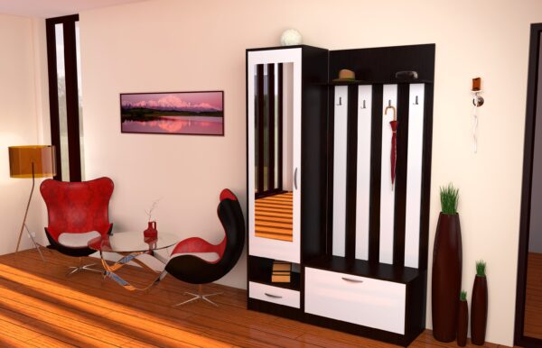 Andrei Cuier modul II 1