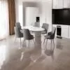 Set Masa Modella Vela alba-auriu cu 6 scaune gri ®️